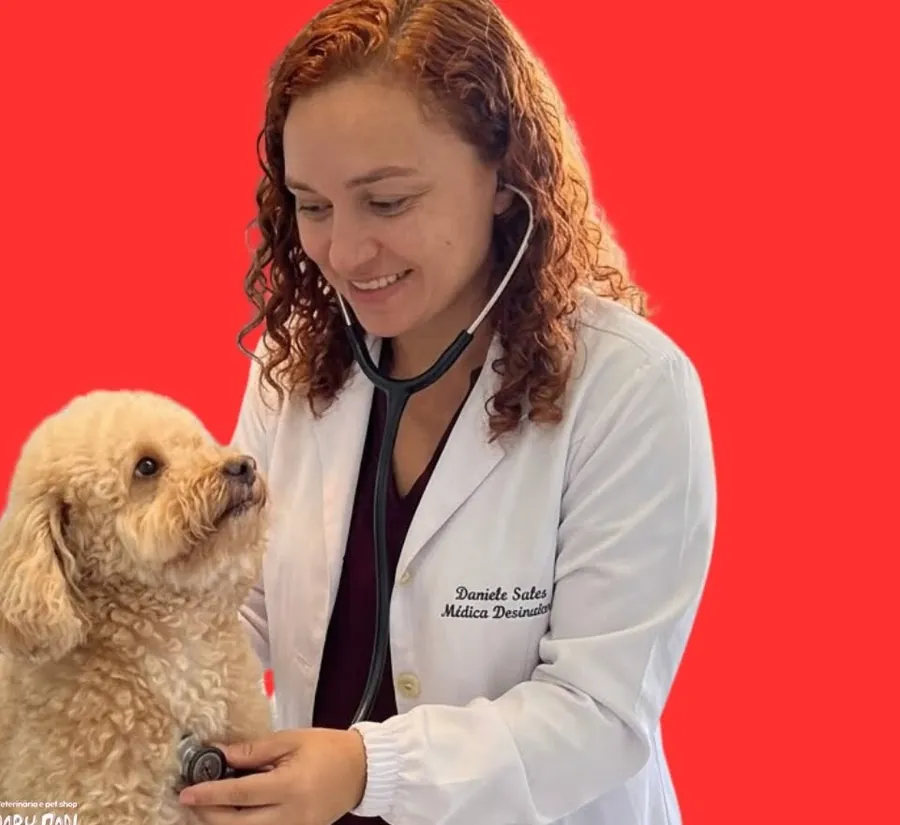 Veterinária auscultando o coração de um poodle